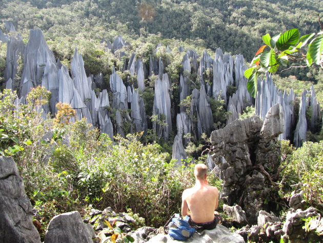 Pinnacles bij Mulu