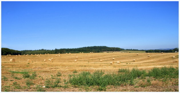 Na-zomers landschap