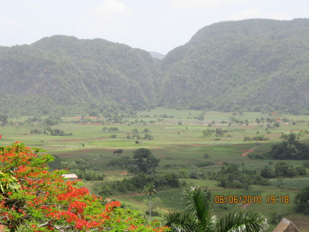 Tabaksplantages in Vinales