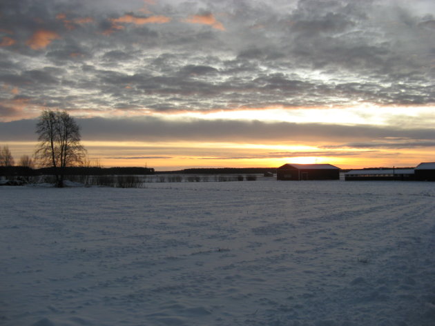 Wintersunset