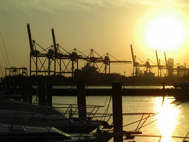 Miami harbor at sunset