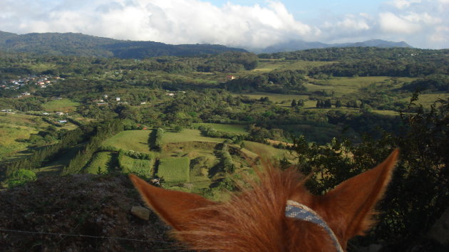 uitzicht vanaf mijn paard (monteverde)