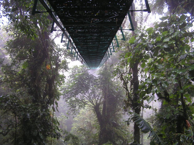 Hanging Bridge