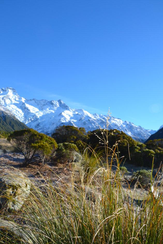 Mount Cook 