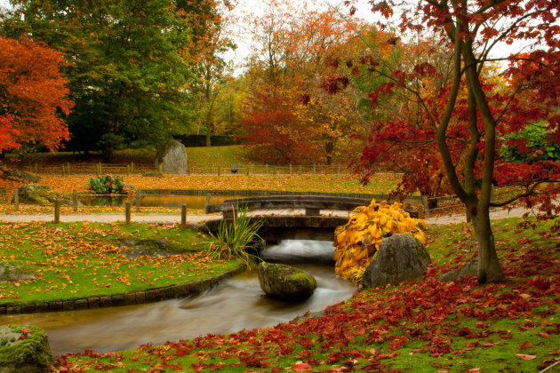 herfst in de japanse tuin