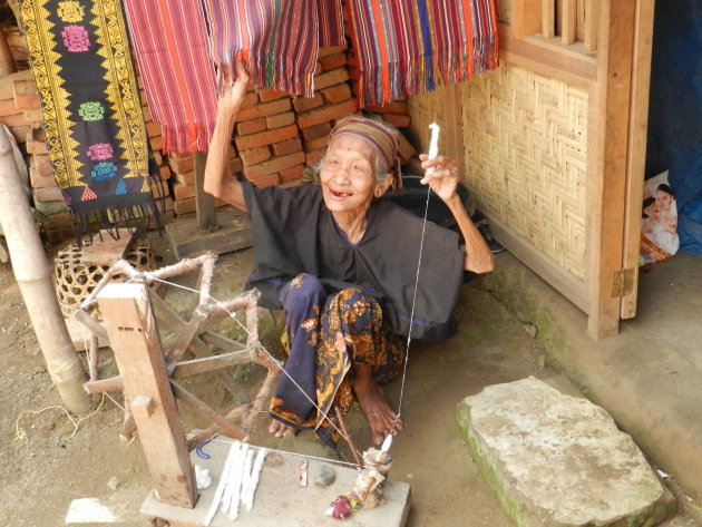 Spinnen op Lombok