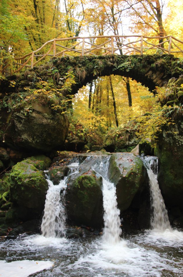 waterfall in fall