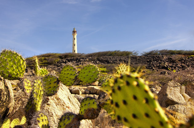 California Lighthouse