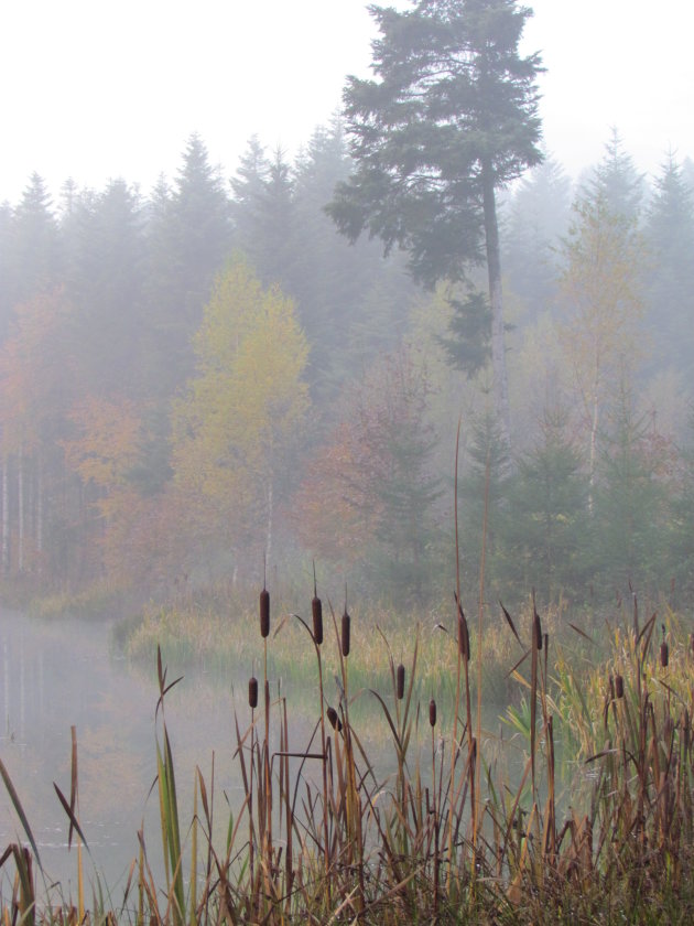 herfst le france