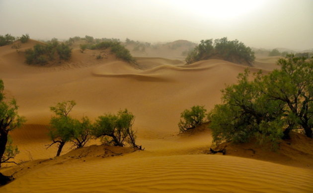 wind en zand