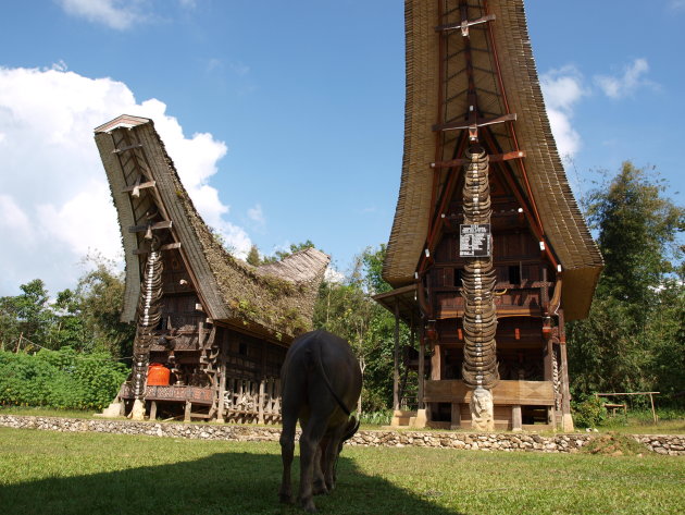 Traditionele huizen in Sulawesi