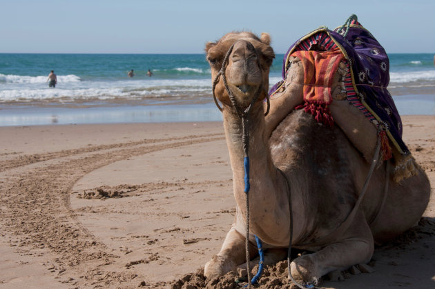 Op het strand 