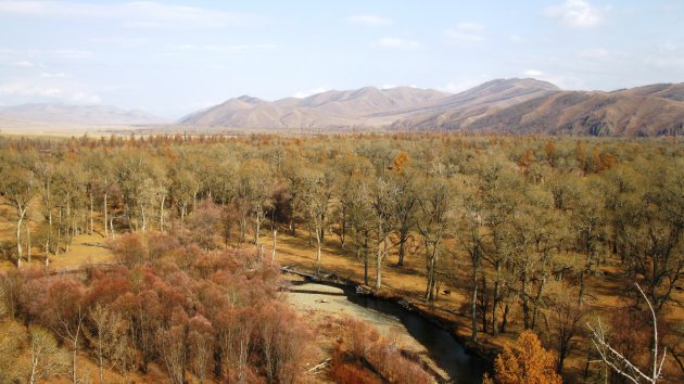 Terelj national park