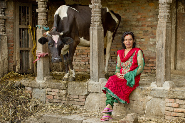 fiere vrouw en haar koe
