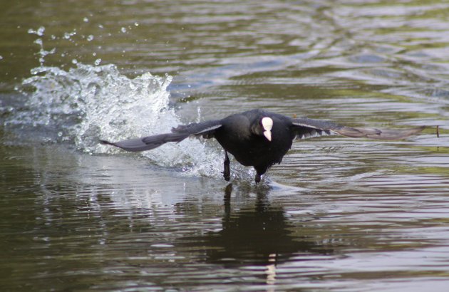 Over het water