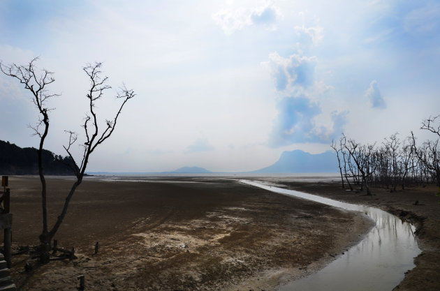 landschap bij Bako NP, Maleisie