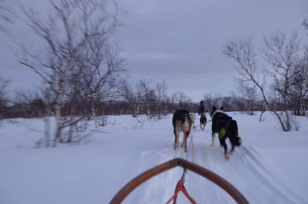 In galop de berg af