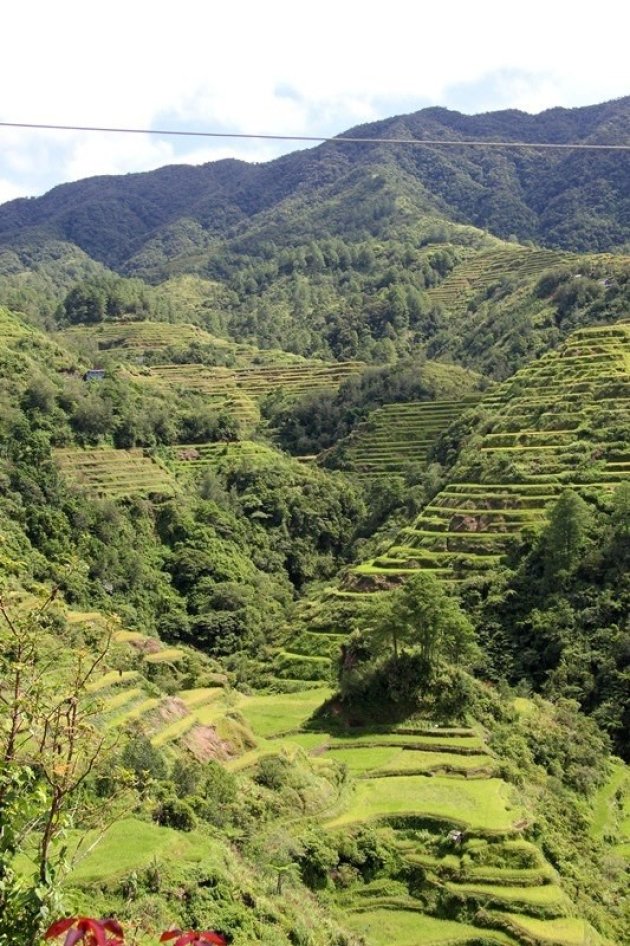 Rijsterrassen Banaue