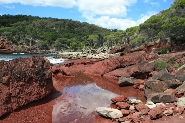 Ben Boyd NP