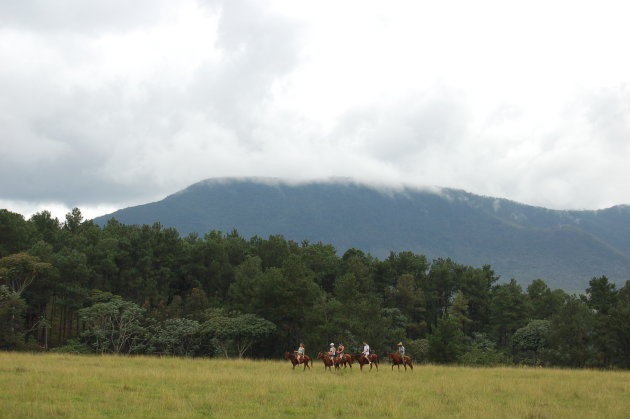 Te paard door een afgelegen natuurgebied in het noorden van Cuba