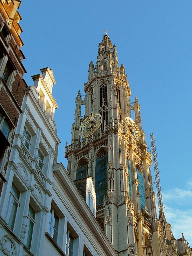 kathedraal Antwerpen