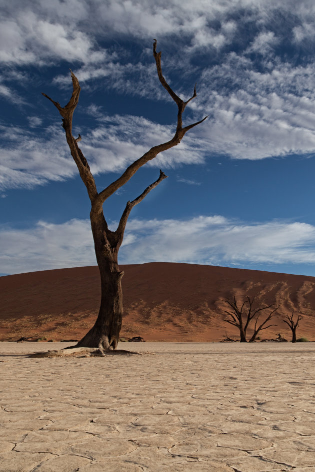 'Dode' boom in Deadvlei met wolkenlucht