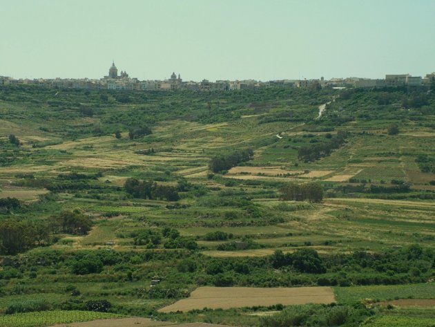 Groen Gozo