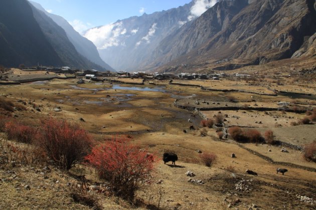 Zicht op Langtang village