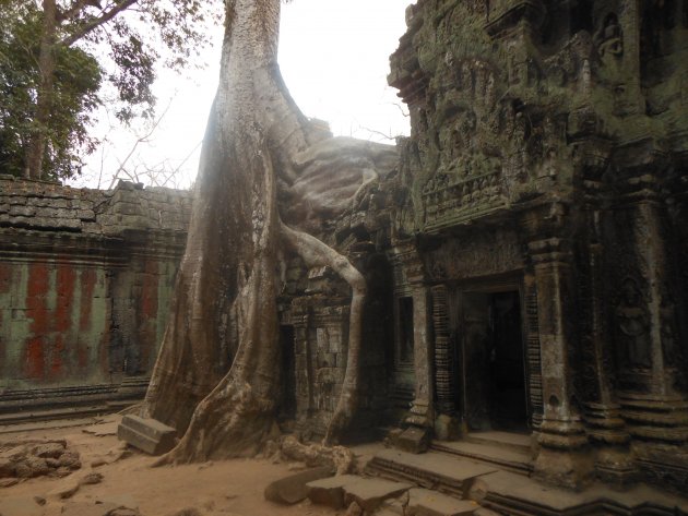 Angkor Wat - Ta Promh