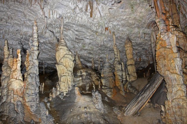 Grotten van Postojna