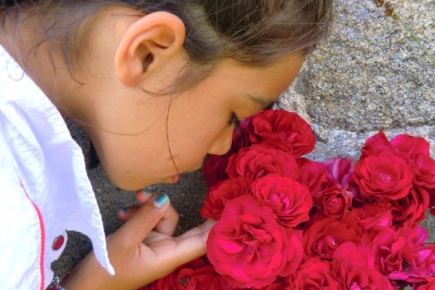 Rozen en liefde onlosmakelijk met elkaar verbonden