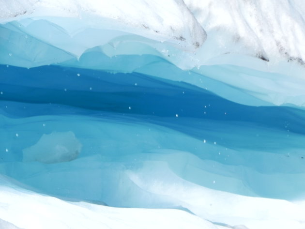 Close up Fox Glacier