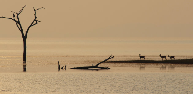 Zonsondergang bij Starvation Island