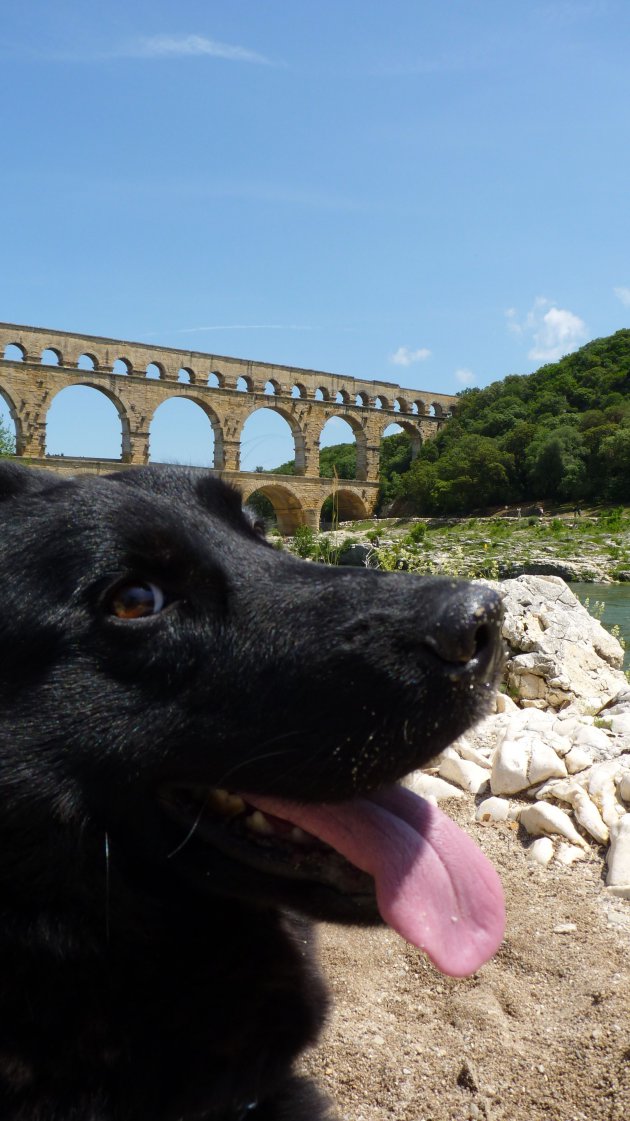 Pont du gard