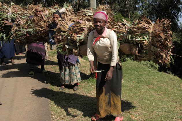 De takkendraagster van Addis Abeba