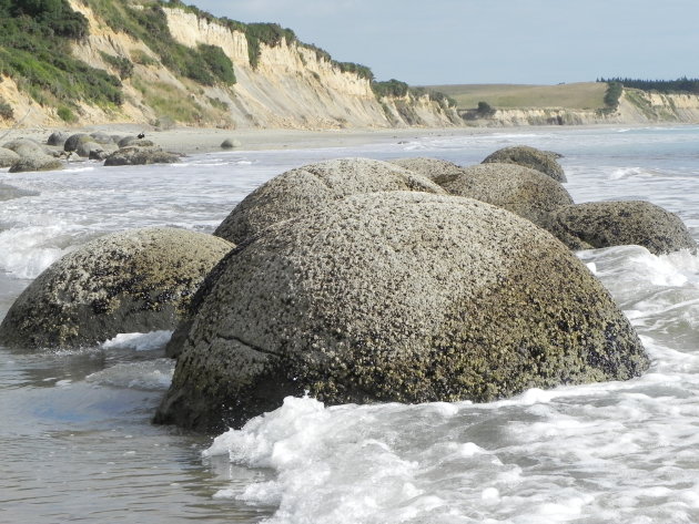 Moeraki Boulders