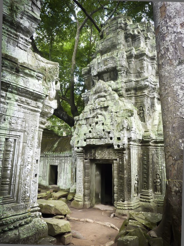 Sprookjesachtig Ta prohm