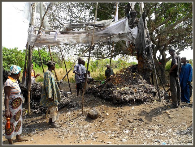 Dankoli: de voodoo site van Benin