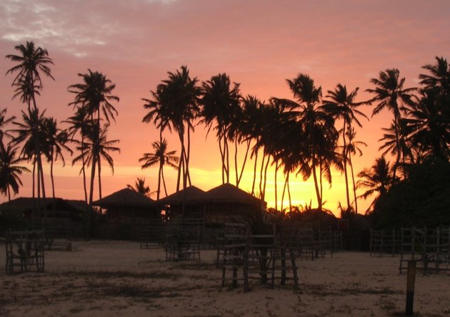 Palmbomen, Jericoacoara