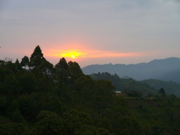 Zonsondergang Bwindi