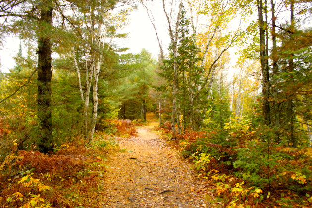 Algonquin Provincial Park