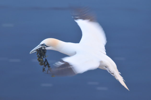 Luchttransport @ Helgoland