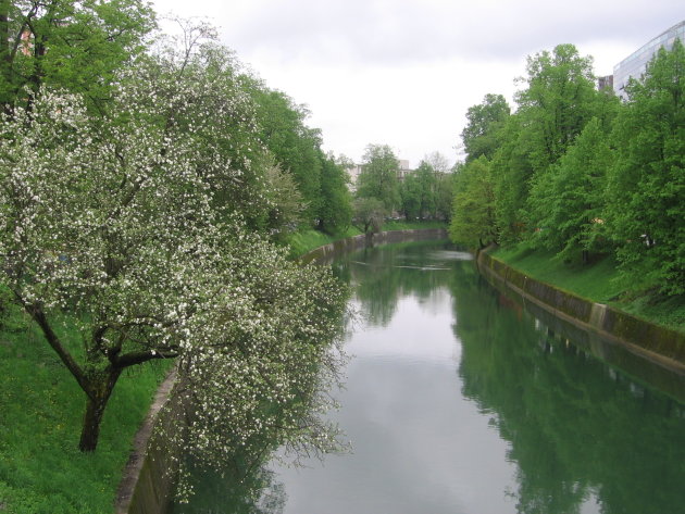 lente in Ljubljana