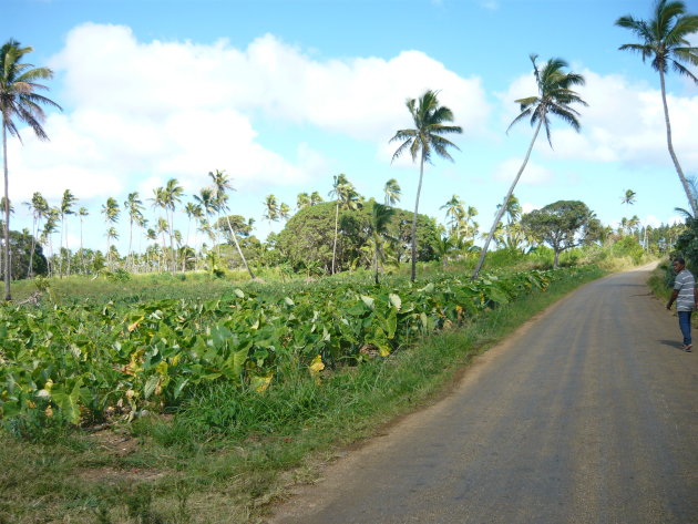 Tonga