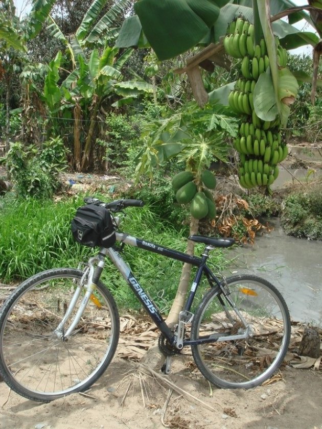 Fietsen door een fruitparadijs!