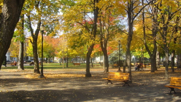 The Indian Summer in Trois Riviere