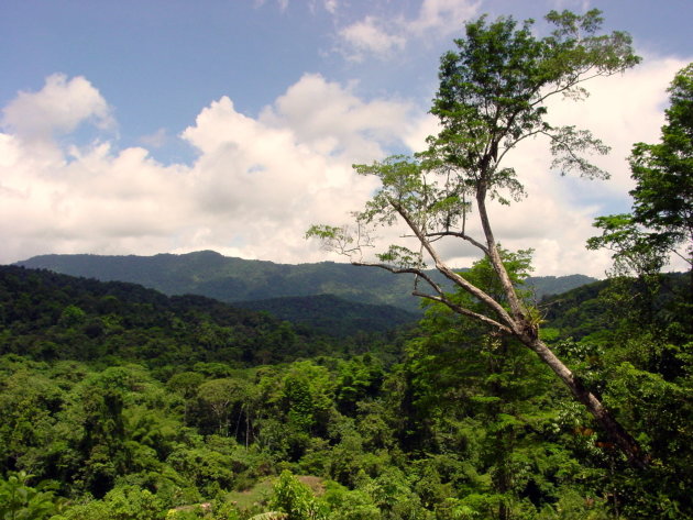 natuur trinidad