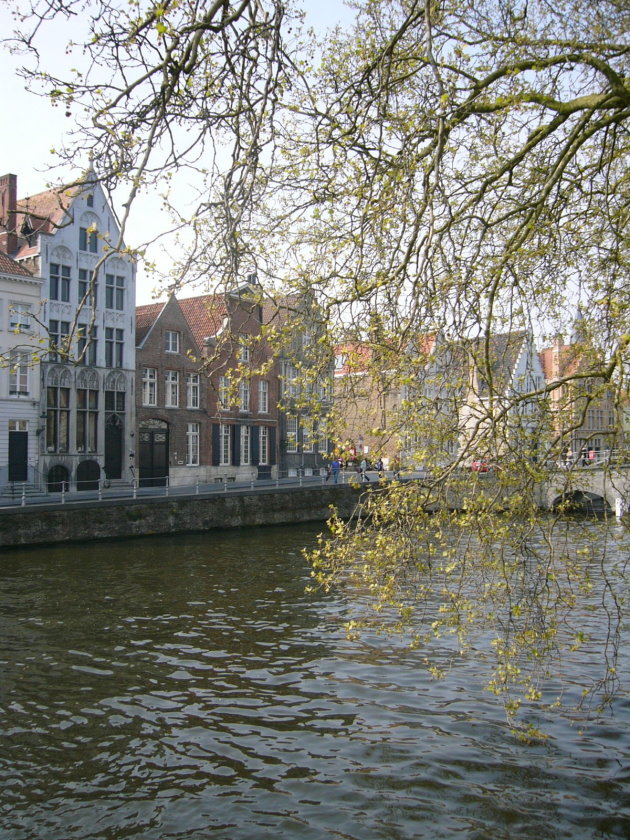 gracht in Brugge