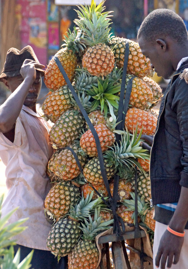 Een voorraad ananas