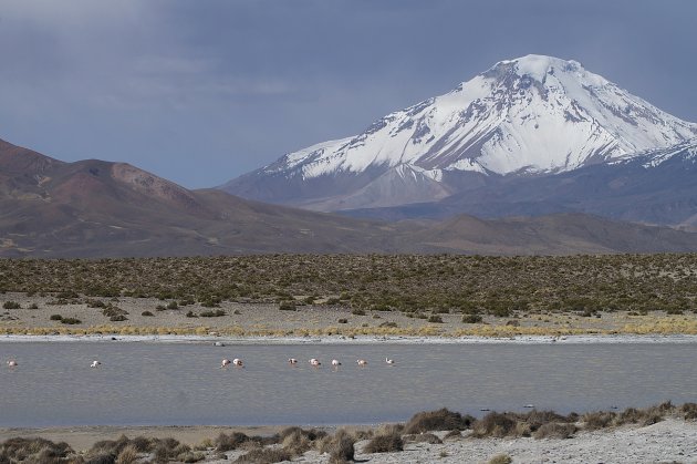 Parinacota